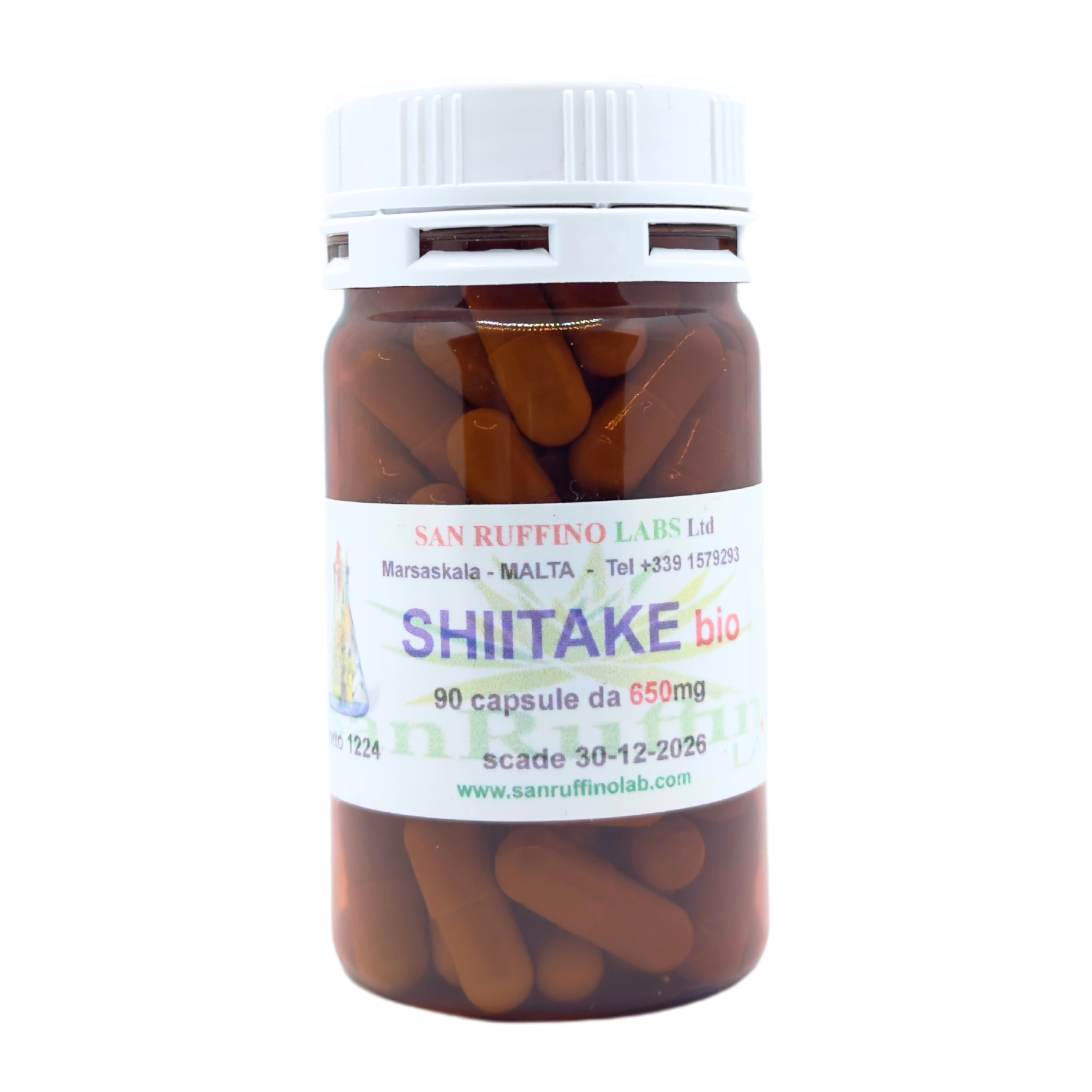 SHIITAKE